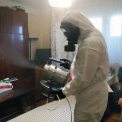 Дезинфекция от клопов в Шуе