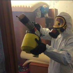 Уничтожение клопов в квартире. Шуя